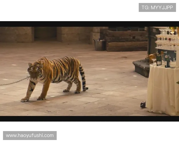 墨西哥老虎与美洲狮的生存之战谁能称霸野生动物界